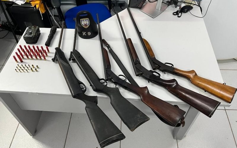 policia-militar-apreende-armas-de-fogo,-municoes-e-animal-silvestre-abatido-durante-acao-em-santa-teresa