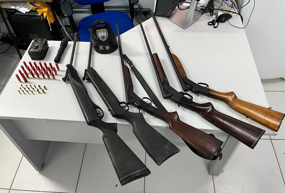 policia-militar-apreende-armas-de-fogo,-municoes-e-animal-silvestre-abatido-durante-acao-em-santa-teresa