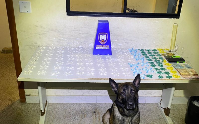 policia-militar-apreende-grande-quantidade-de-drogas-e-cumpre-mandados-em-guarapari
