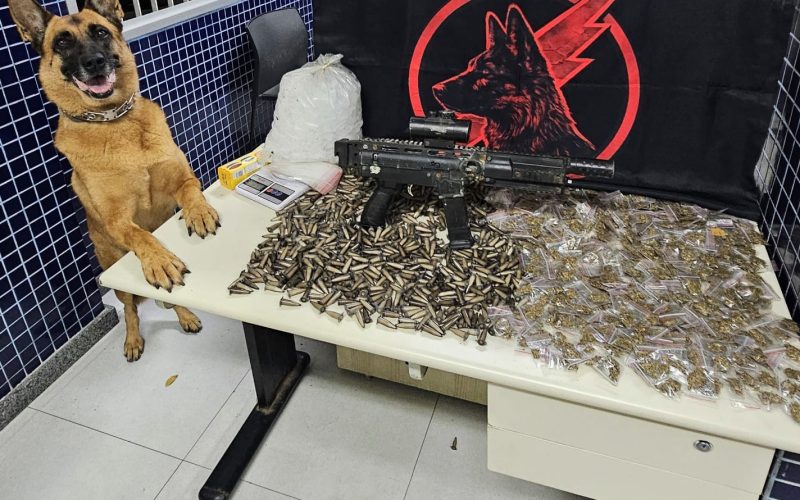 equipe-k9-da-17a-cia-independente-apreende-drogas-em-vila-velha