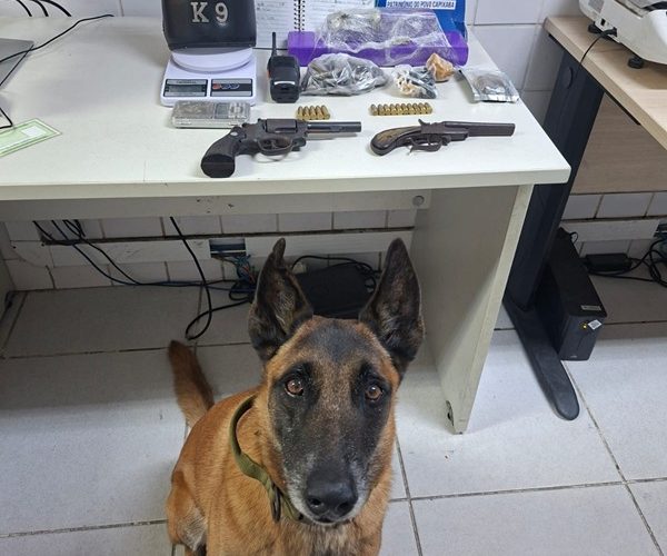 pm-apreende-armas-de-fogo-e-entorpecentes-na-serra