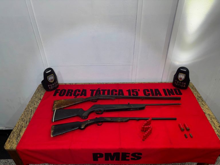 policia-militar-apreende-armas-e-municoes-em-mimoso-do-sul