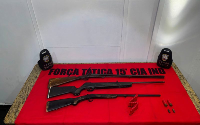 policia-militar-apreende-armas-e-municoes-em-mimoso-do-sul