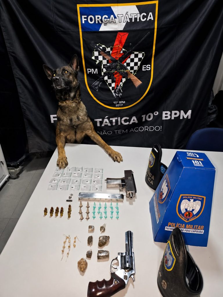 policia-militar-apreende-armas,-drogas,-recupera-veiculo-e-cumpre-mandados-de-prisao-em-guarapari