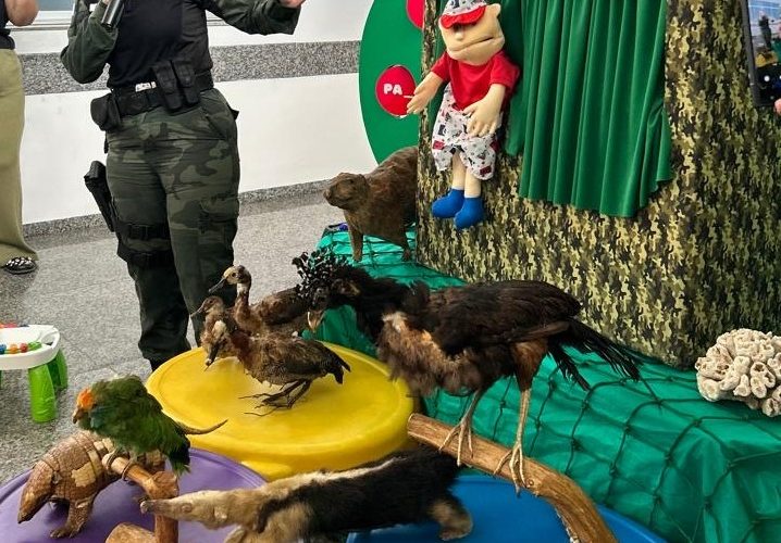 bpma-realiza-acao-de-educacao-ambiental-no-hospital-infantil-de-cachoeiro-de-itapemirim