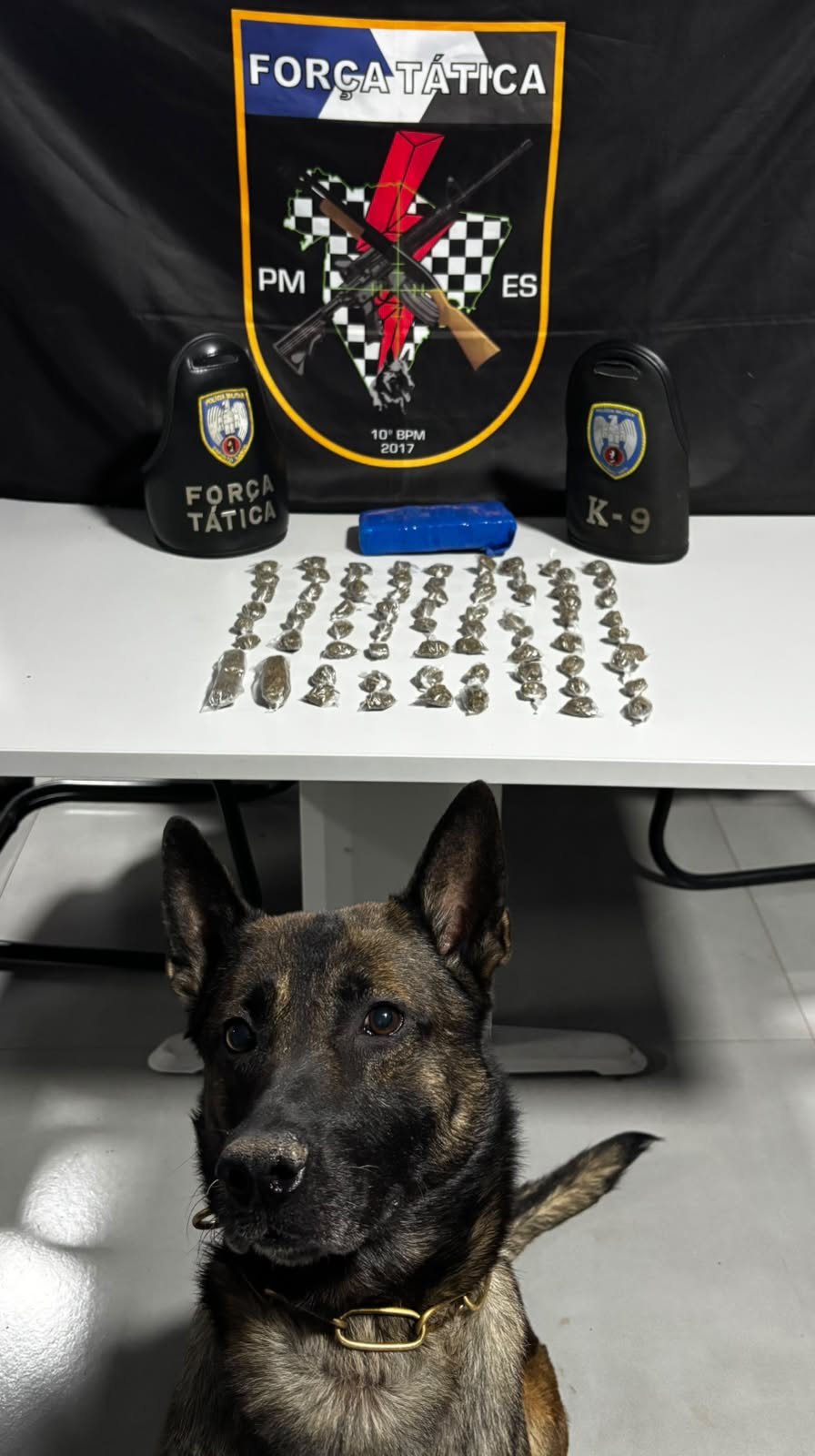 policia-militar-apreende-drogas-e-detem-suspeitos-em-guarapari