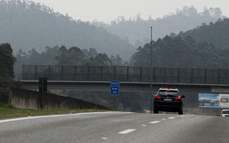 tempo-seco-intensifica-risco-de-queimadas-no-interior-paulista