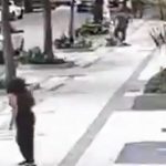 professora-aposentada-da-ufrj-e-baleada-em-assalto-na-zona-sul-do-rio
