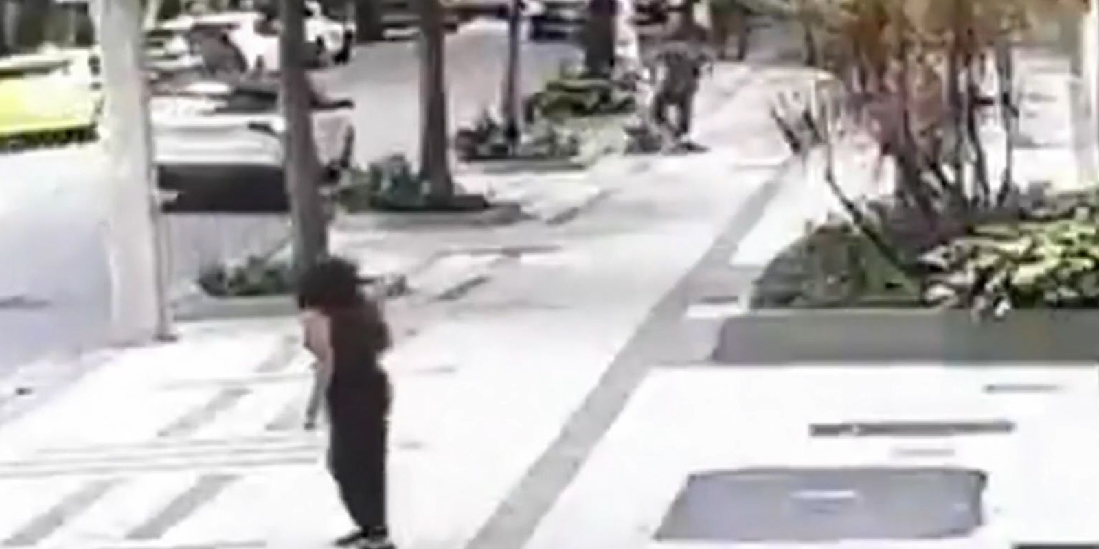professora-aposentada-da-ufrj-e-baleada-em-assalto-na-zona-sul-do-rio